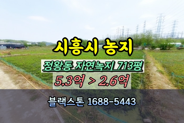  시흥시 농지 경매 정왕동 답 700평대 [2024타경56982]