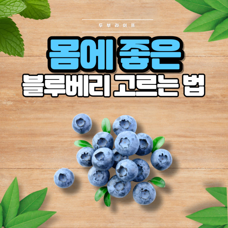  1분만에 몸에 좋은 블루베리 고르는 법(효능, 영양소, 조리법, 보관, 세척, 안토시아닌)