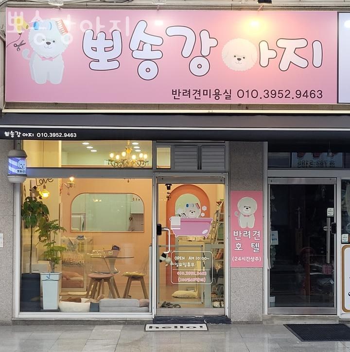 사진 3