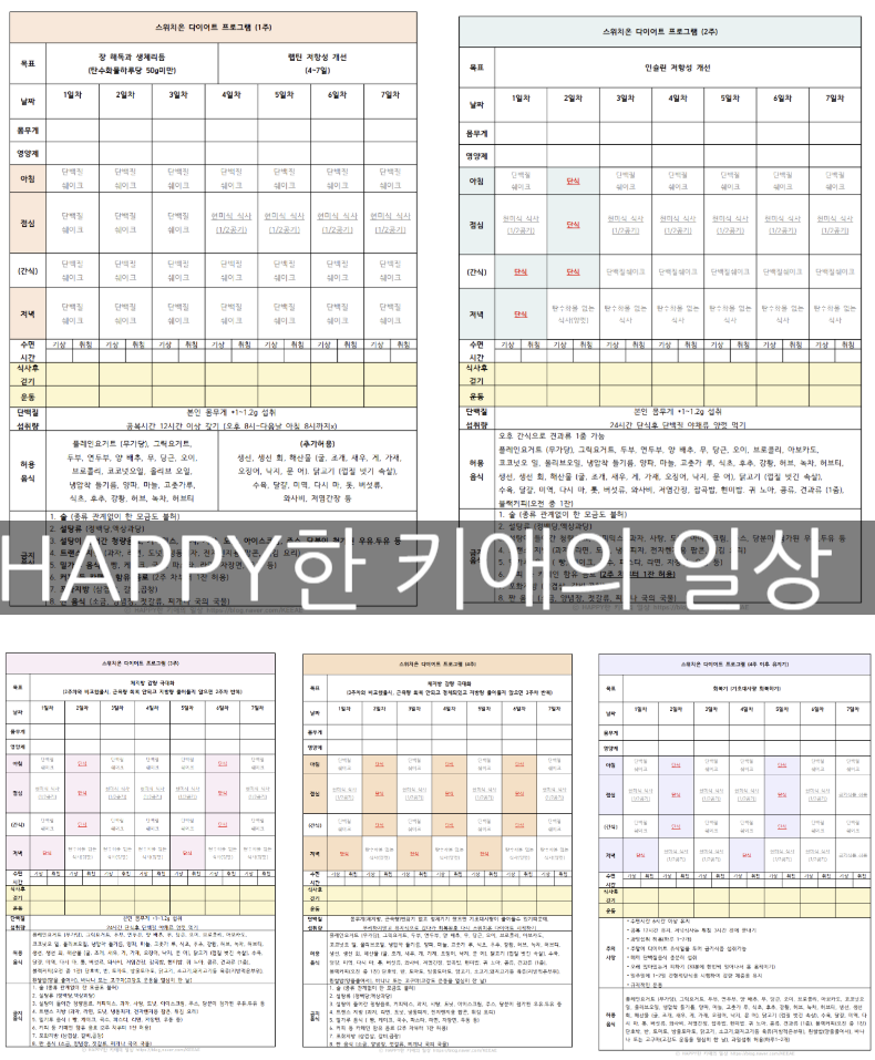 박용우 스위치온 다이어트 4주 총정리 식단표 체크리스트 pdf 무료공유