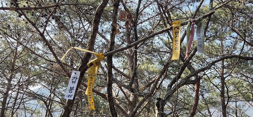 소태배기산 사진 5
