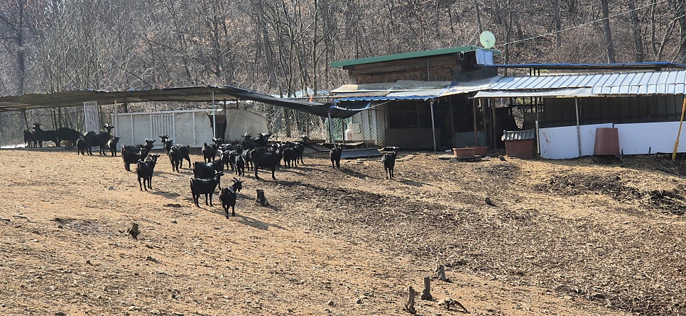 소태배기산 사진 3