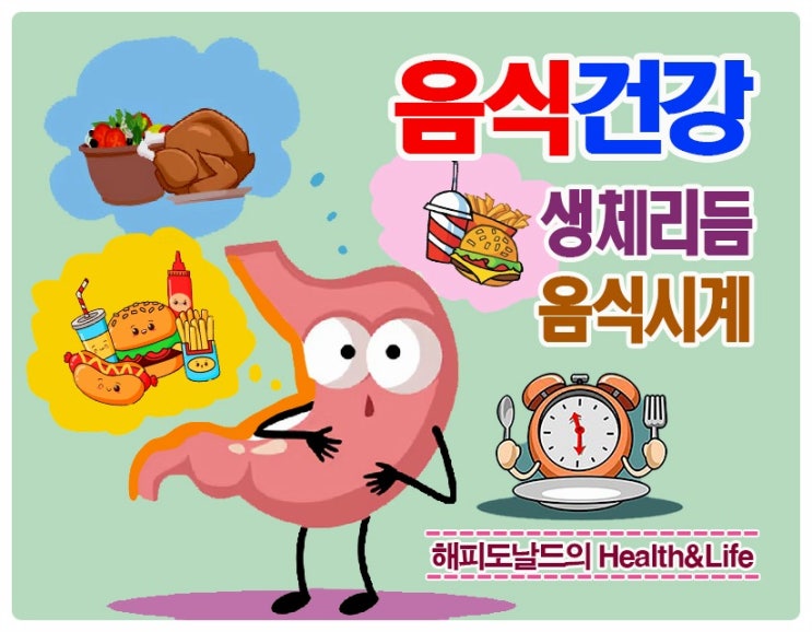 생체리듬과 음식시계, 십자화과채소 먹는법, 아티소 아티초크추출물(앰플) 효능