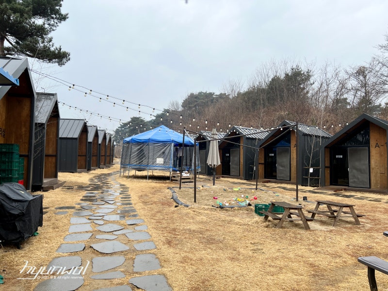 사진 6