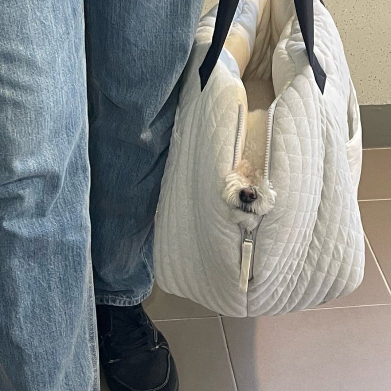 루이독(Louis Dog), 어라운드백도 좋고 하네스도 좋고