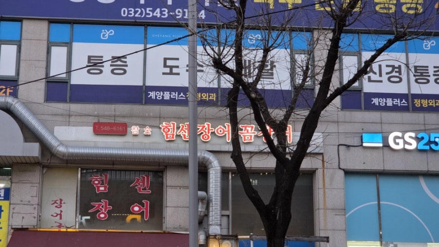 힘센장어 사진 2