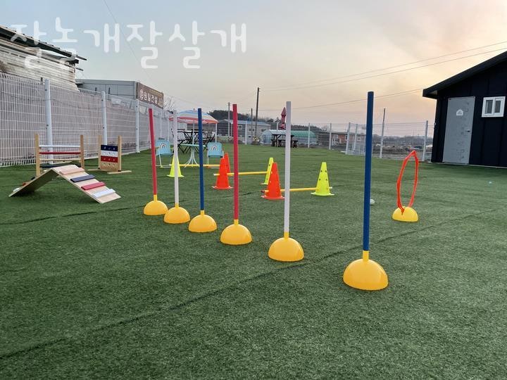 사진 2