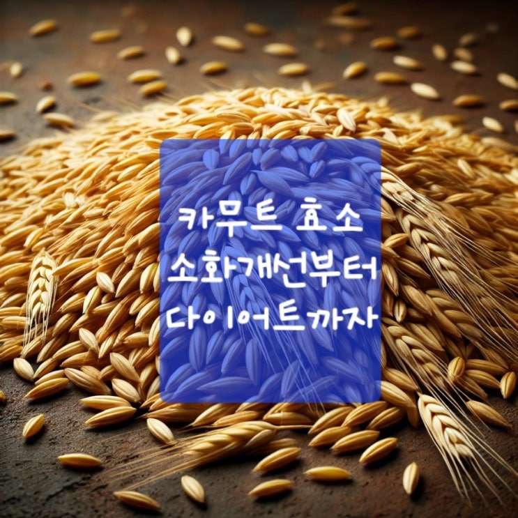  카무트 효소 효능 총정리! 소화 개선부터 다이어트까지