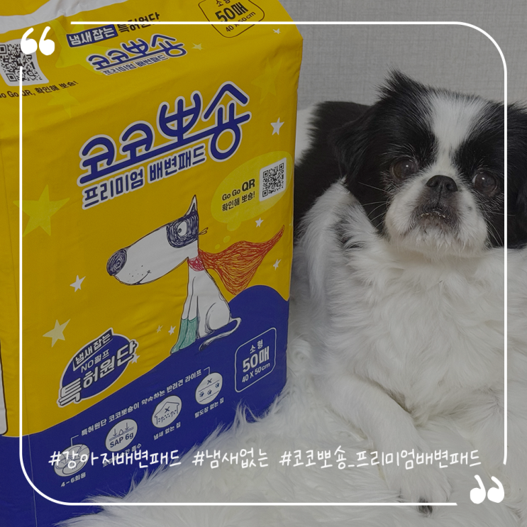  강아지배변패드추천 냄새없는 흡수력좋은 코코뽀숑 프리미엄 배변패드