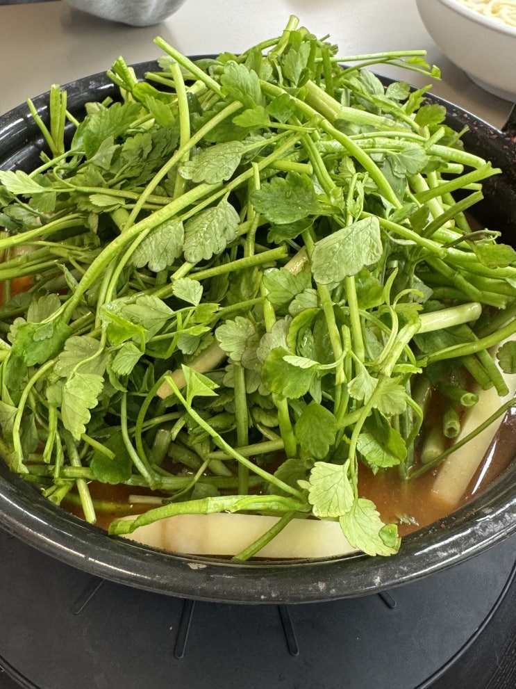  [등촌샤브칼국수 서소문점] 볶음밥이 맛있는 미나리샤브 덕수궁맛집