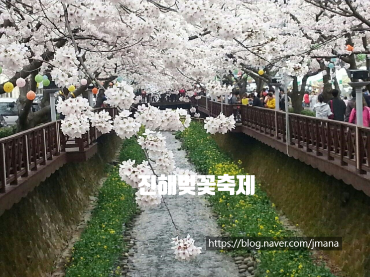 25년 진해군항제 벚꽃 축제 시기 명소 프로그램 행사 안내