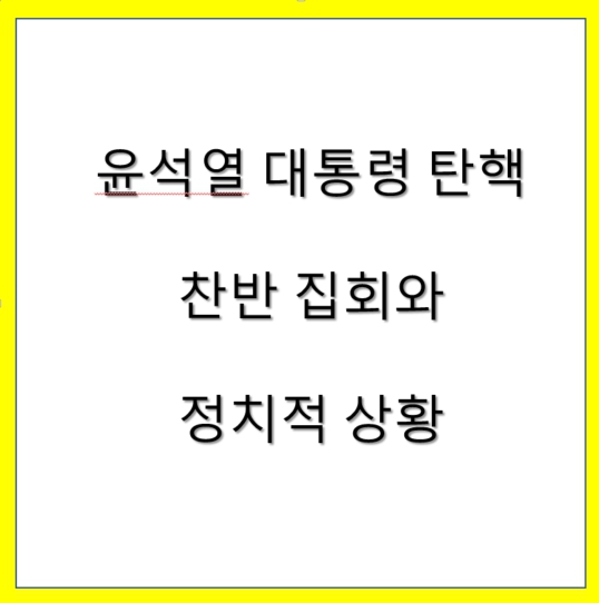 <b>윤석열 대통령 탄핵 찬반</b> 집회와 정치적 상황