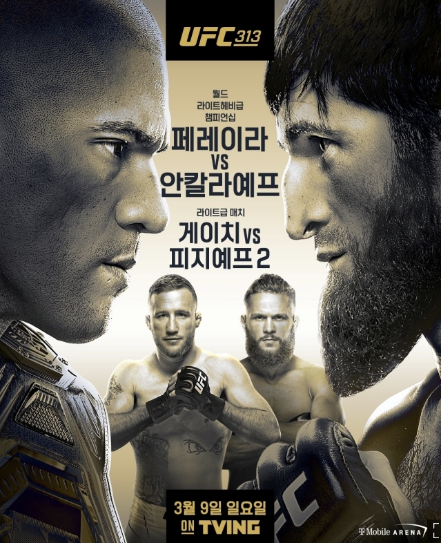  UFC 313: 알렉스 페레이라 vs 마고메드 안칼라예프 대결 분석