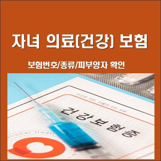 자녀 의료 건강 보험 종류 번호 확인 및 피부양자 기관 조회
