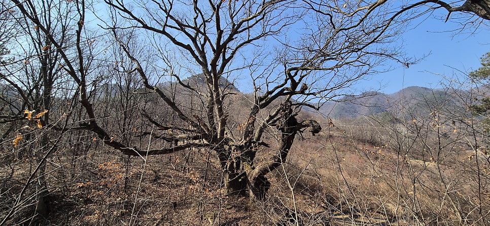 소태배기산 사진 6