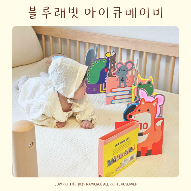 블루래빗 유아완구 아이큐베이비 아기 백일선물 추천 오감발달