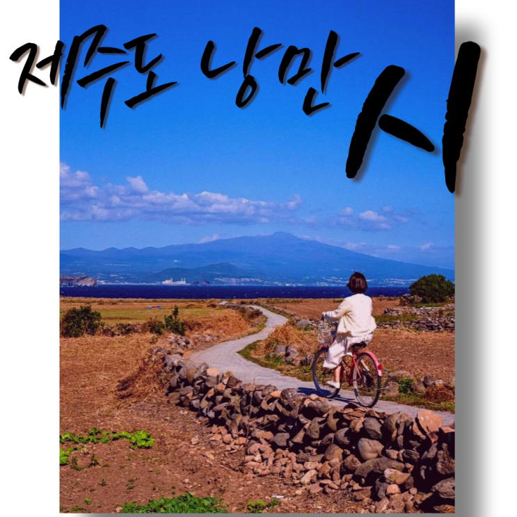  돌담길의 미학 제주도 낭만