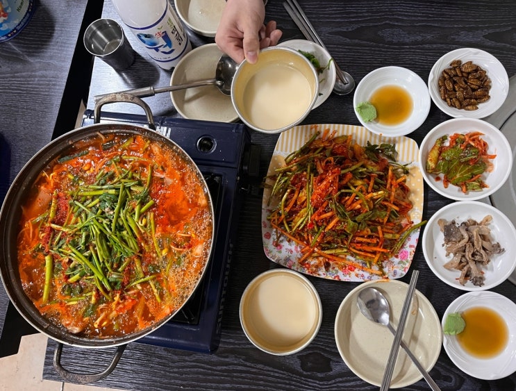  대전역 노포 술집 나만 아는 '옥란식당' 홍어 무침, 홍어탕 후기