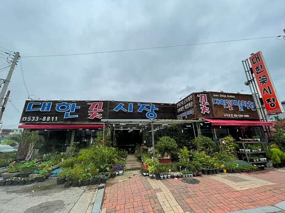 대한꽃시장 사진 4