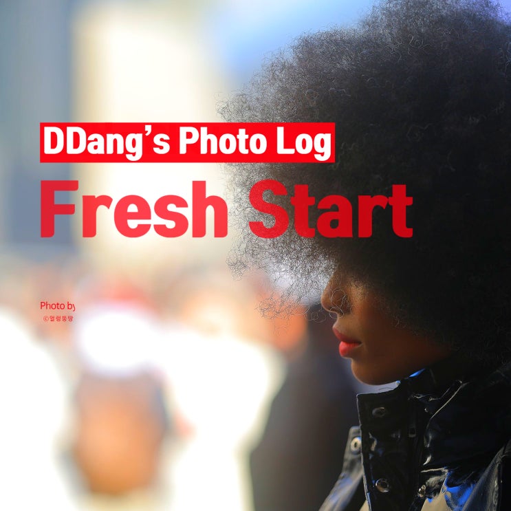  사진 장비 리뷰부터 촬영 노하우까지! | 뚱땅s Photo Log & 유튜브 DDang’s Photo Log