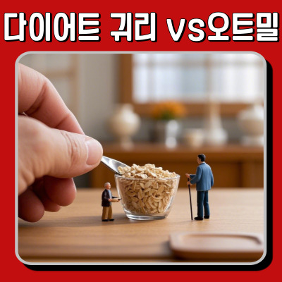 귀리와 오트밀, 다이어트엔 뭐가 좋을까? 효능과 섭취법 정리