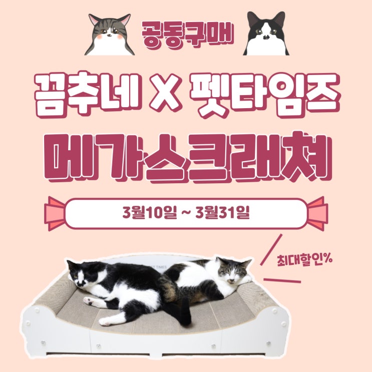  끔추네 첫번째 공동구매 펫타임즈 메가스크래쳐 고양이 집사라면 주목