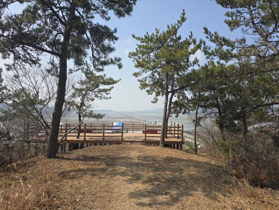 소금밭낙조전망대 사진 6
