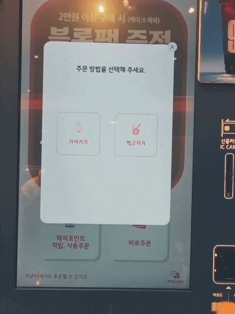  베라 파인트 가격 크기 kt멤버십베라 무료