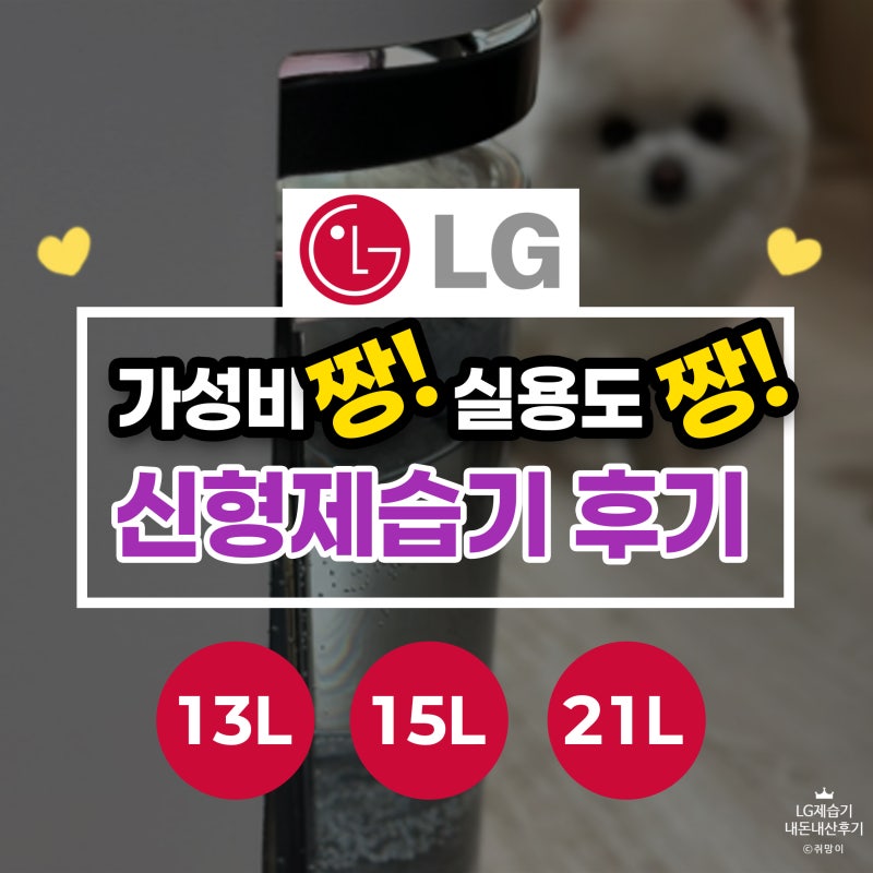 LG 오브제 엘지 휘센 제습기 21보단 15 추천하는 이유 가격 소음 발열 후기 dq154mwga