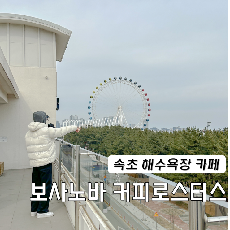  보사노바 커피로스터스 속초 해수욕장 근처 카페 오늘의커피
