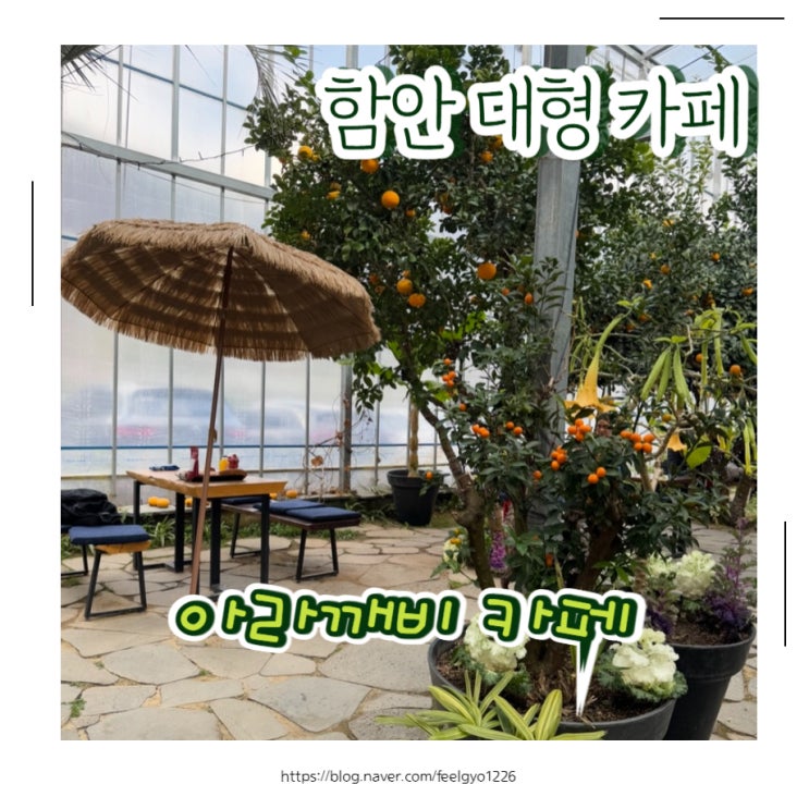  창원근교 함안 대형 베이커리 식물원 카페 아라깨비카페