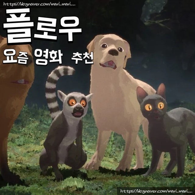 볼만한 어린이 영화, 고양이애니메이션 플로우 상영일정 및 쿠키 정보