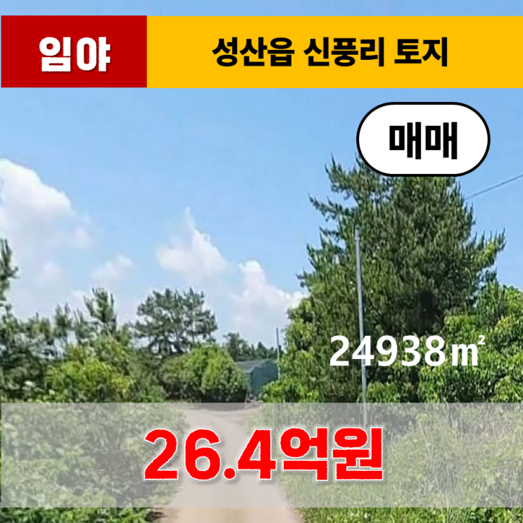 《제주도토지》 성산읍 신풍리 토지 매매