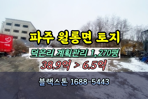  파주시 월롱면토지 경매 1천평 LCD산업단지 인근 주택개발 [2023타경65951]