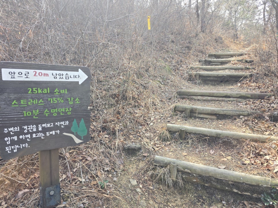 소금밭낙조전망대 사진 4