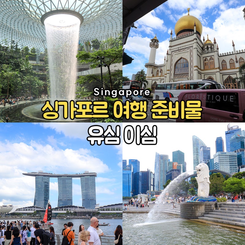 싱가포르 여행 준비물 유심 추천 유심칩 이심 로밍 비교
