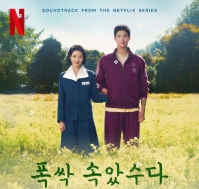  폭싹 속았수다 뜻 넷플릭스 공개! 박보검 아이유 케미는?