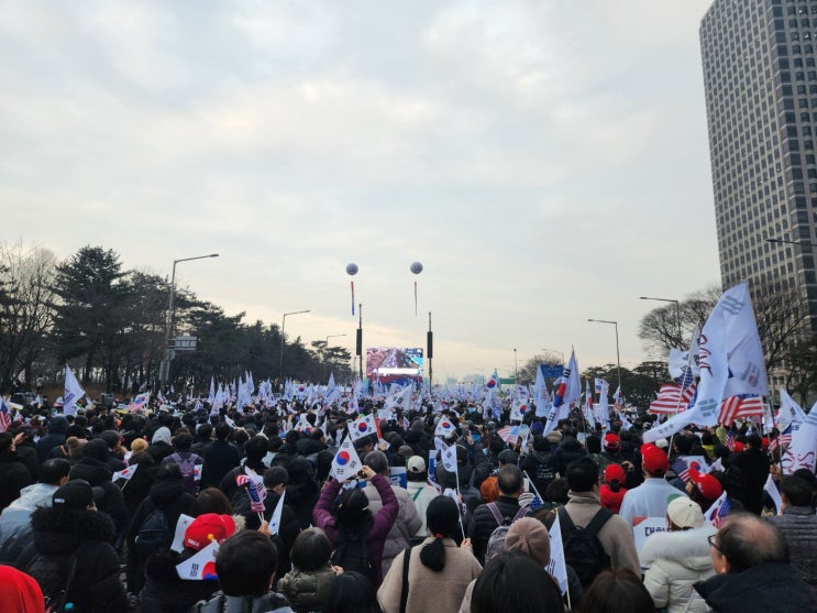 삼일절 <b>탄핵 반대</b> 집회(세이브 코리아), <b>윤석열 대통령</b> 헌법... 