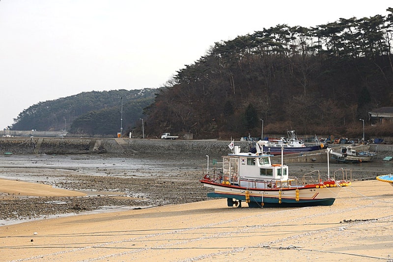 인천 옹진군 덕적도 자연휴양림 : 네이버 블로그