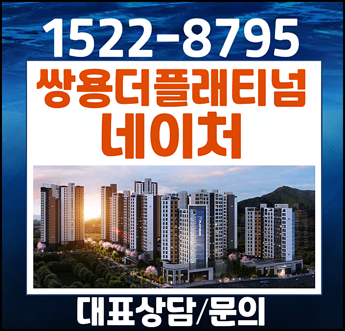  쌍용 더플래티넘 네이처 대전 조차장 개발 수혜 미분양 잔여세대