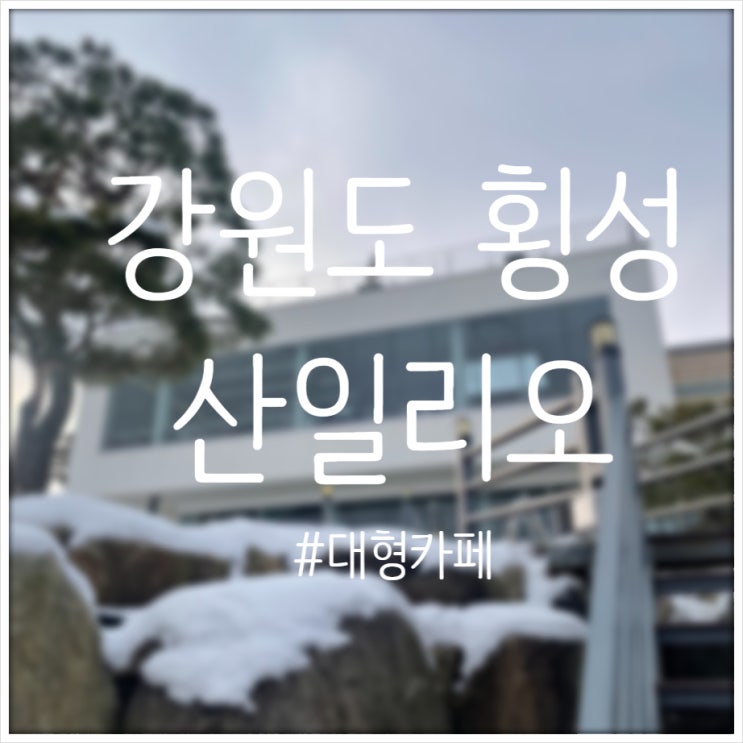  야외정원이 예쁜 카페 산일리오 횡성 카페 추천