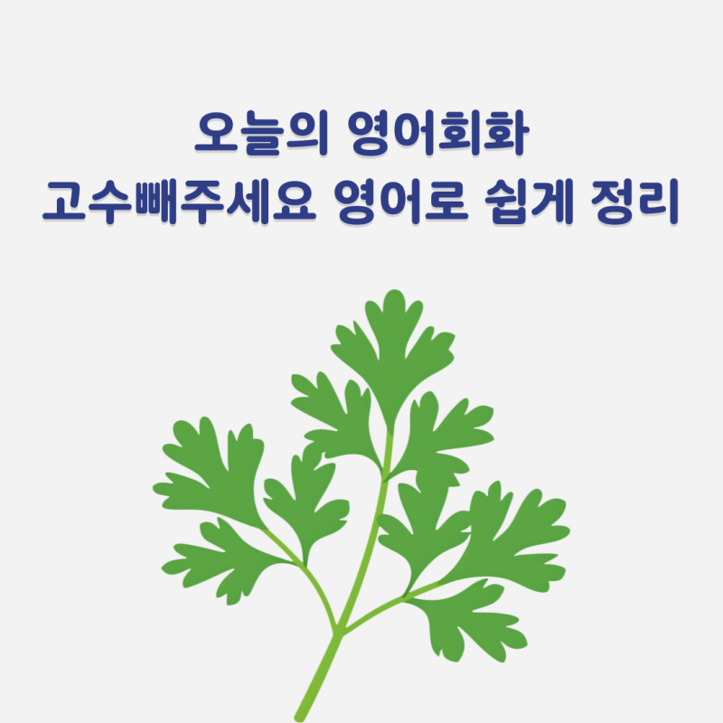 고수빼주세요 영어로와 베트남 고수 영어로 쉽게 정리