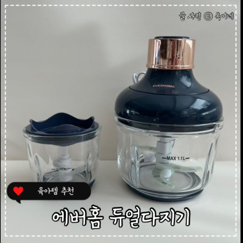 에버홈 듀얼다지기 마늘다지기 이유식다지기 내돈내산 추천