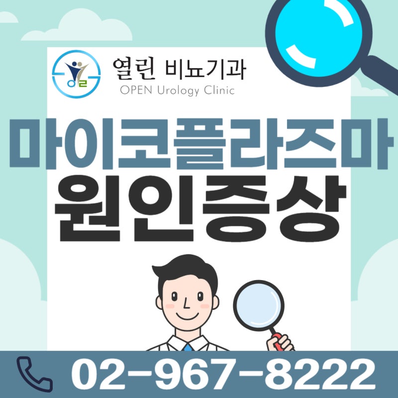 마이코플라즈마 호미니스 제니탈리움원인 성병감염 증상