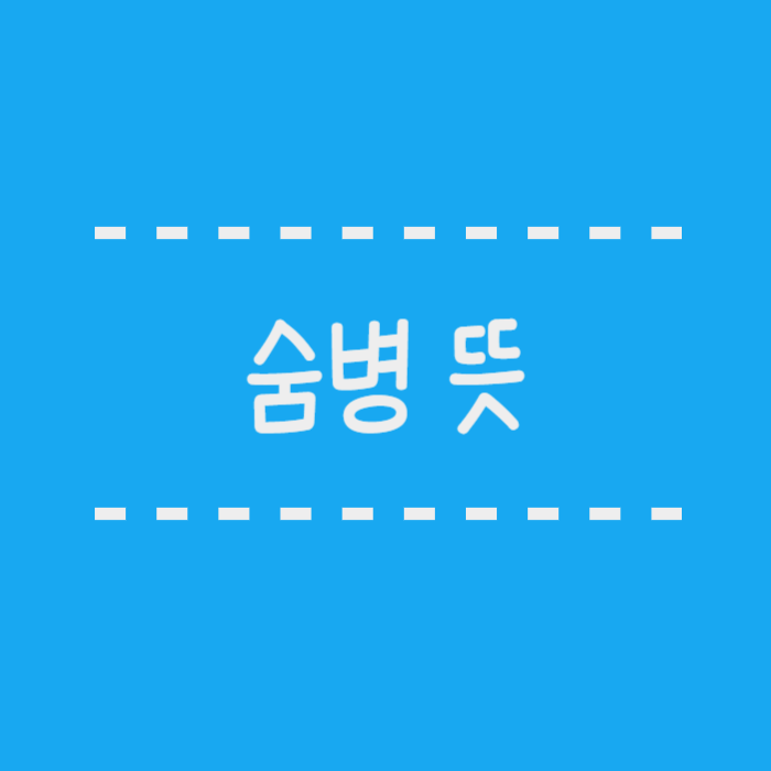  숨병 뜻 넷플릭스 폭싹 속았수다 나오는 이병은?