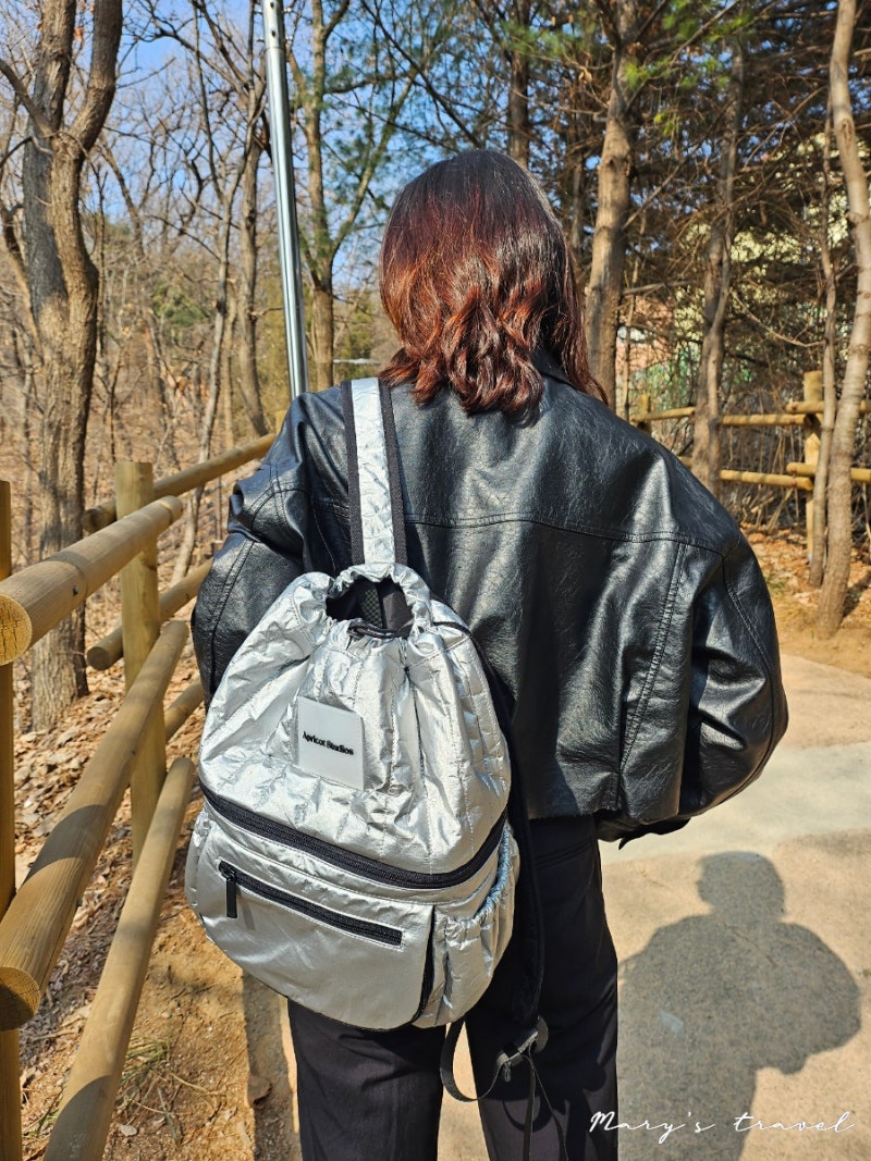 기저귀 가방 백팩 추천, 아프리콧 스튜디오(가격, 후기)