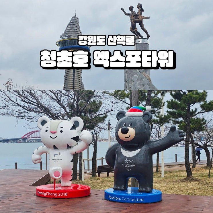  강원도 속초 가볼만한곳 엑스포타워 청초호수공원 여행