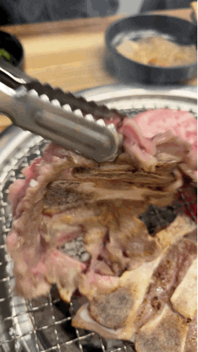  특수부위가 있는 가성비 노형동 맛집 돈날개숯불갈비 노형점