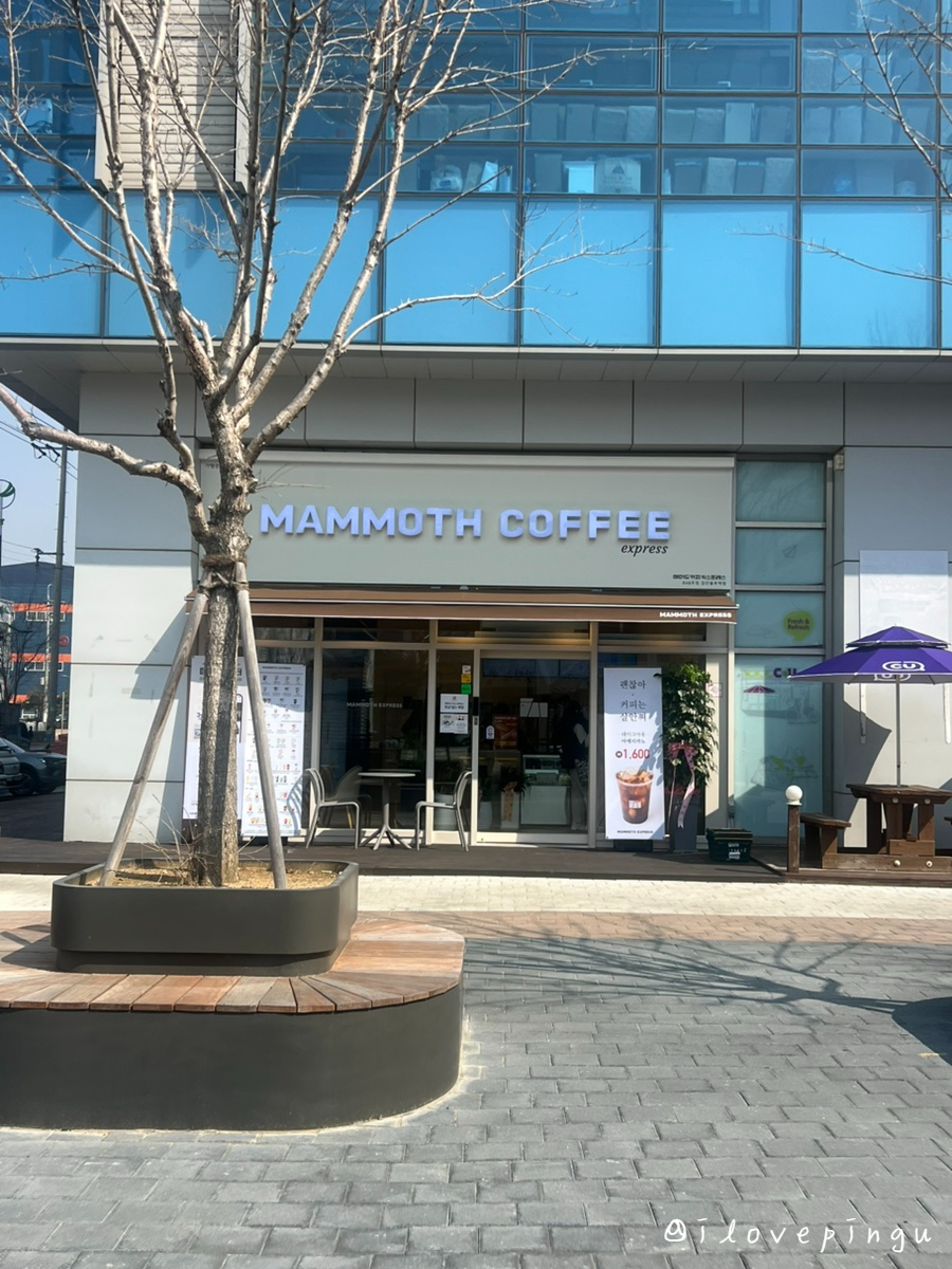 매머드익스프레스 검단블루텍점 사진 1
