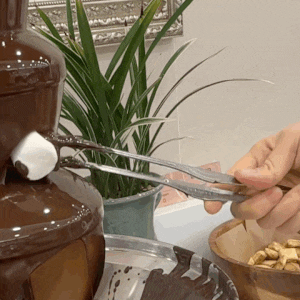 대구 북구 침산동 스시 맛집 골드점 차이  쿠우쿠우 대구 북구점